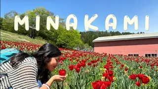 Complete Tour Guide to Minakami  (Norn Minakami flower garden, Takaragawa Onsen, Mount Tanigawa)
