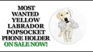 Yellow Labrador PopSocket Holder Mount Car - PopSockets Grip and Stand for Phones and Tablets