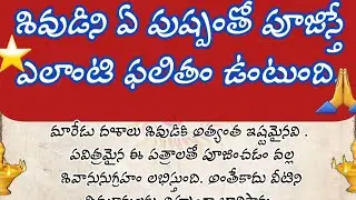 శివుడిని ఏ పుష్పంతో పూజిస్తే ఎలాంటి ఫలితం ఉంటుంది| worshiping Lord Shiva with flower| ధర్మాసందేహాలు