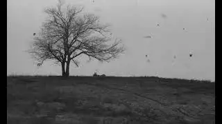 B&eacute;la Tarr - The Turin Horse