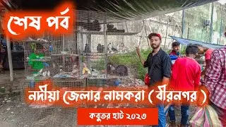 কবুতর হাট ২০২৩ | Kobutor Hat | Biranagar Bird Market | Birnagar Pigeon Market 2023