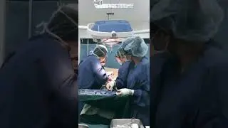 Doctor Couple Goals video 💯💥🧑&zwj;⚕️#short #shortvideo #motivation #trending #trendingshorts  #doctor
