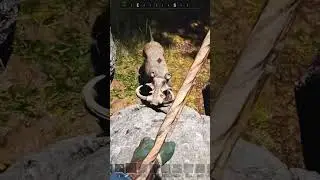 Aggressive! #icarusgame #nocstriker #survivalgame #gaming