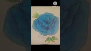 😍 Blue Rose 💐 #drawing #shorts