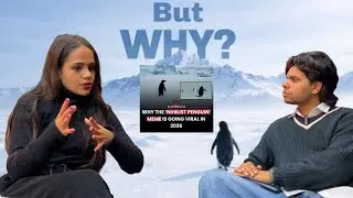 Social Media viral Nihilist Penguin Real Story 🐧