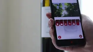 Винный гид Moro. AR приложение, оживающая бутылка
