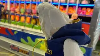 We went to a carnival after Grandma Barbara ignored us!