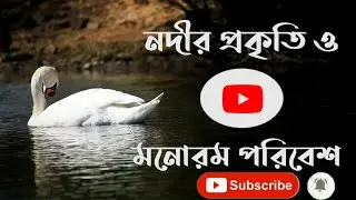 True Facts About The Duck || London || Lutfur Polash ||  লন্ডনের নদীতে হাঁস ||