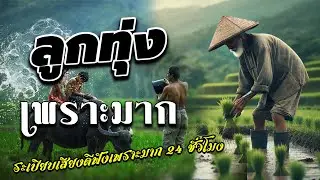 ลูกทุ่งเพราะมาก : ลูกทุ่งเพลงเพราะ100% ฟังต่อเนื่องหลายเพลง 24 ชั่วโมง