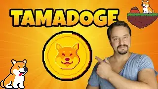 Tamadoge - New Announcements released - Did I claimed my tokens?