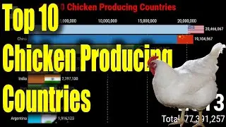 Top 10 Chicken Producing Country In The World - Watch Data Race