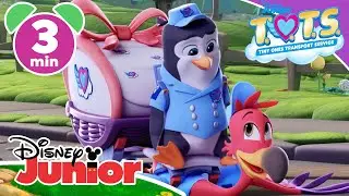 T.O.T.S. | Magical Moment: You've Got To Be Kitten Me 🐈 | Disney Kids