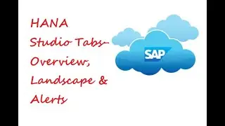 HANA Studio Tabs-  Overview, Landscape & Alerts