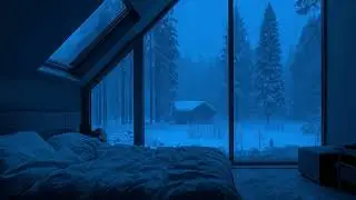 get cozy and fall asleep...