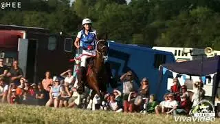 Danza Kuduro// Equine Music Video