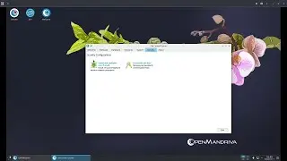 Quick Look at OpenMandriva OM Control Center App - Security