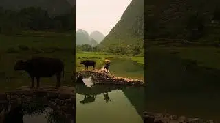 Guilin & Li River 🇨🇳 | China&rsquo;s Most Beautiful River Cruise 🌄🚤 | Karst Mountains in 4K