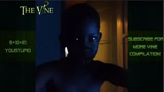21 Vine Compilation #youstupid #21