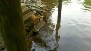 Tyson at SML - Fishing like a champ!