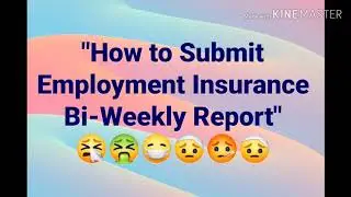 How to submit Employment Insurance Bi-Weekly Report