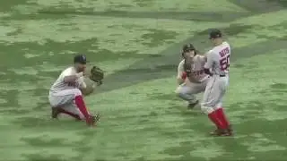 Boston Red Sox Win Dance Repeat