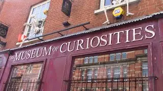 The museum of curiosities