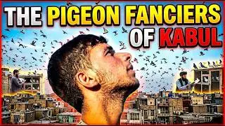 Street Boys of Kabul: The Pigeon Fanciers of Ka Faroshi