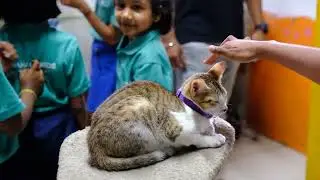 Charlie's Animal Rescue Centre CARE