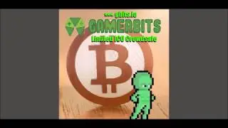 Pedro Dutra -- Gamerbits Bitboy Campaign