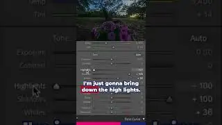 Focus stacking part 3 - Lightroom