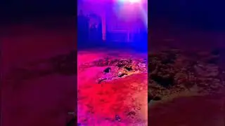 পুরো ভূমিকম্প 😱⚠️Vibration  #Power_Sound Purulia Se 😎