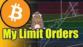 Bitcoin Faked Me Out But I Still Have Limit Orders Set