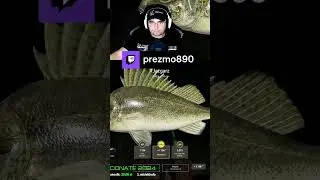 Russian Fishing 4 Shoty Trophy Fish / Kolejny Jazgarz na Krętym... ZNOWU  😁😁😁 | prezmo890 o #Twitch