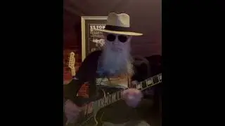 Chicago Blues #shorts 099 | Blues Relaxing Soul Smooth Groove Music | Blues & Jazz | Malone Schwartz
