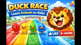 Duck Race 🦆  Learn Animals for Kids  Fun Water