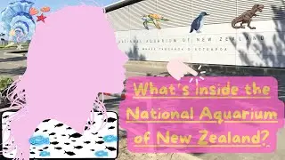 National Aquarium of New Zealand Part 1 | Napier | Travel