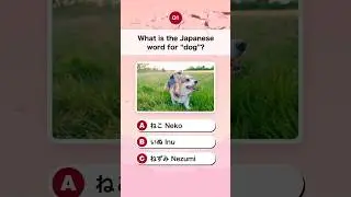 Japanese Animal Quiz! 🐾 Only true anime & Japan fans can get them all right! 🇯🇵 #learnjapanese