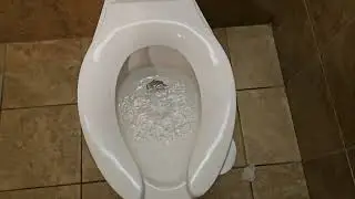 Elevation Hotel Men's Restroom in Mt. Crested Butte, CO