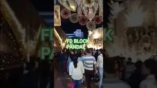 SALT LAKE FD BLOCK ENTRY#durgapuja #kolkata