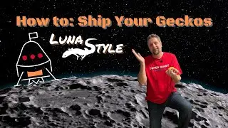 How To: Ship Your Geckos Luna Style