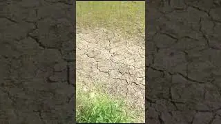 #farmer, #nature, #agricultura, #agriculture,#RaithuBidda, #siri, #jaijavan, #jaikisan,