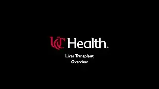 Your Liver Transplant Journey: An Overview of the Process