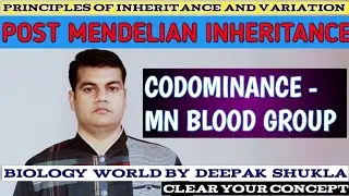 MN Blood Type Genetics I MN Blood Type I MN Blood Group I MN Blood I Codominance- MN Blood Group