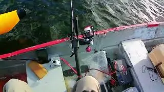 Barnes Lake was rough