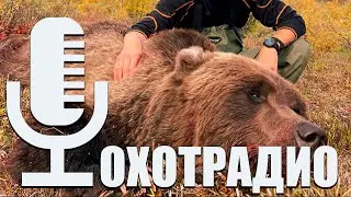 12 калибр или 20 калибр что выбрать то? 🔴ОХОТРАДИО