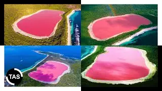 Lake Hillier: Australia&rsquo;s Stunning Pink Lake