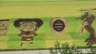 20160902八郎潟町田んぼアート①