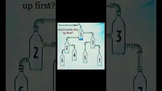 Which bottle fills up first &hellip;🤖