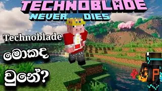 Technoblade ට මොකද වුනේ? | Technoblade Sinhala Review | @Technoblade