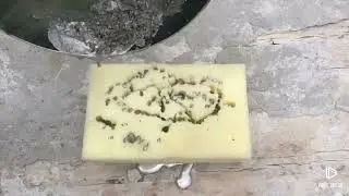 Melting Lead Vs Sponge / Experiment